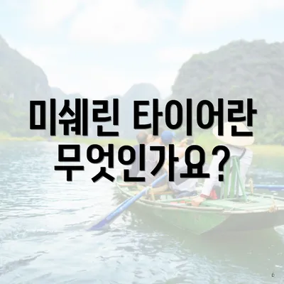 미쉐린 타이어란 무엇인가요?