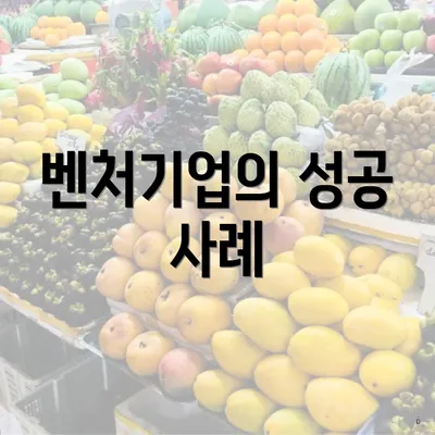 벤처기업의 성공 사례