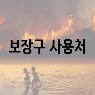보장구 사용처