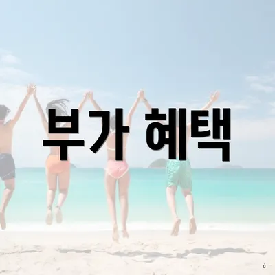 부가 혜택