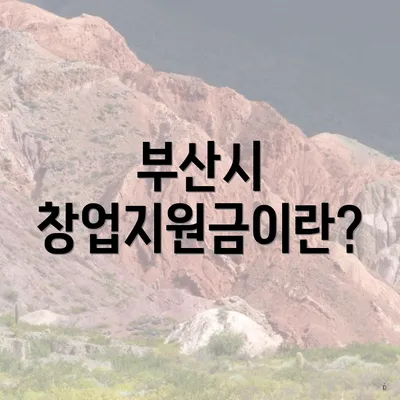 부산시 창업지원금이란?