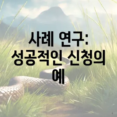 사례 연구: 성공적인 신청의 예