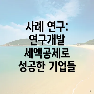 사례 연구: 연구개발 세액공제로 성공한 기업들