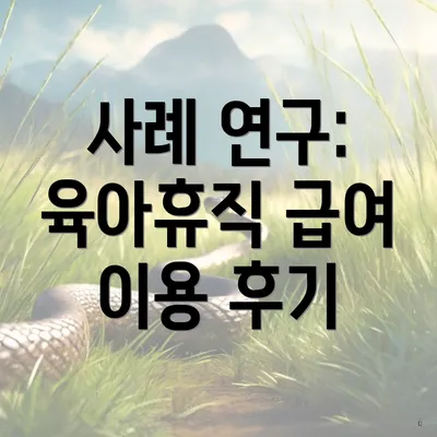 사례 연구: 육아휴직 급여 이용 후기