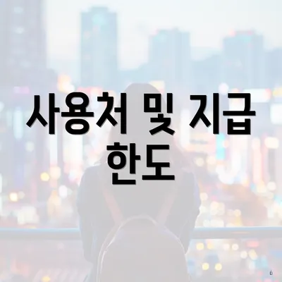 사용처 및 지급 한도