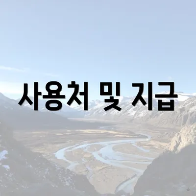 사용처 및 지급