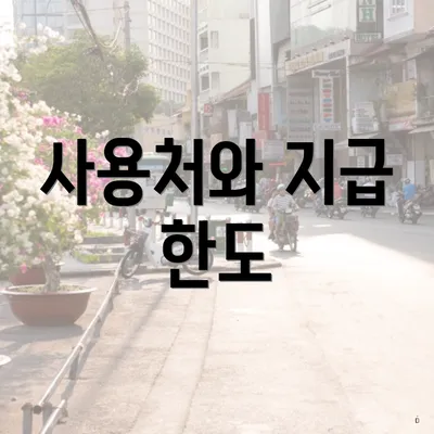 사용처와 지급 한도