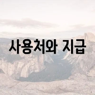 사용처와 지급