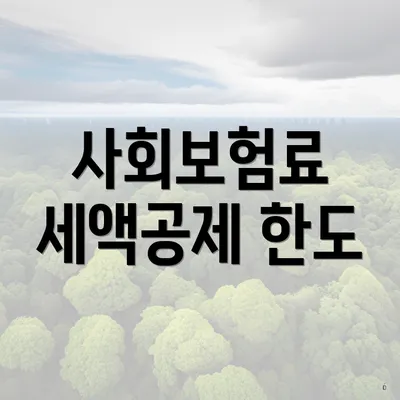 사회보험료 세액공제 한도