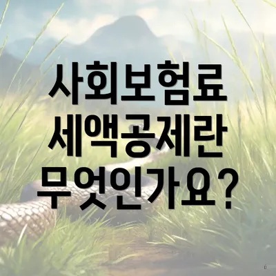 사회보험료 세액공제란 무엇인가요?