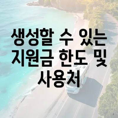 생성할 수 있는 지원금 한도 및 사용처