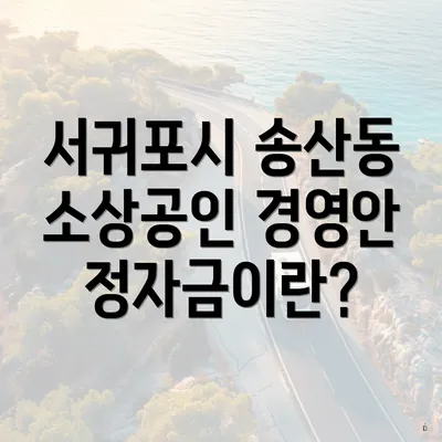 서귀포시 송산동 소상공인 경영안정자금이란?
