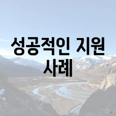 성공적인 지원 사례