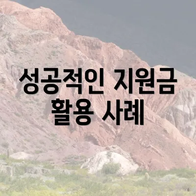 성공적인 지원금 활용 사례