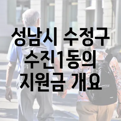 성남시 수정구 수진1동의 지원금 개요