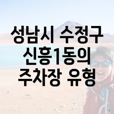성남시 수정구 신흥1동의 주차장 유형