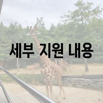 세부 지원 내용