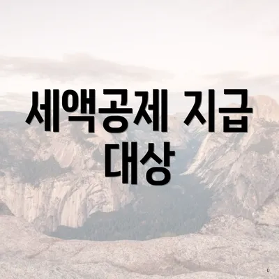 세액공제 지급 대상