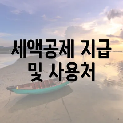 세액공제 지급 및 사용처