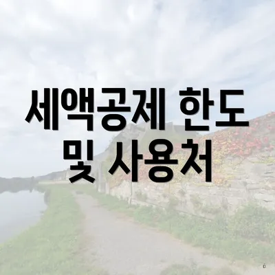 세액공제 한도 및 사용처
