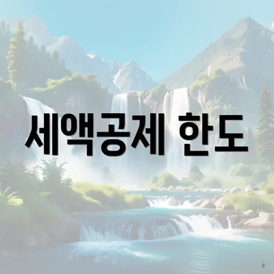 세액공제 한도
