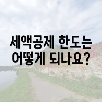 세액공제 한도는 어떻게 되나요?