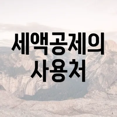 세액공제의 사용처