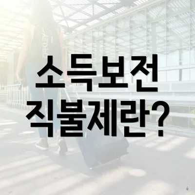 소득보전 직불제란?