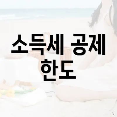 소득세 공제 한도