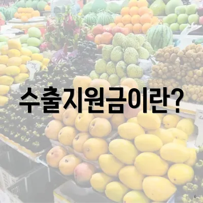 수출지원금이란?