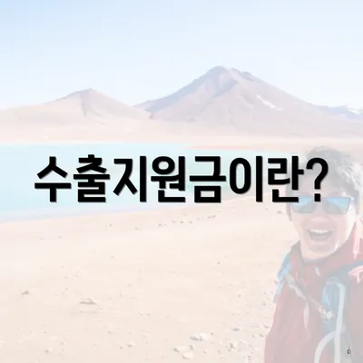 수출지원금이란?