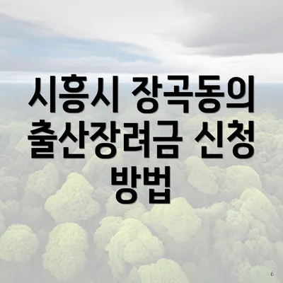 시흥시 장곡동의 출산장려금 신청 방법