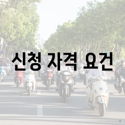 신청 자격 요건
