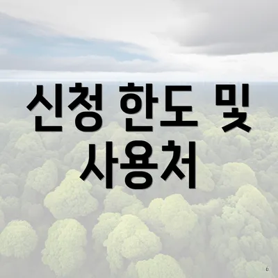 신청 한도 및 사용처