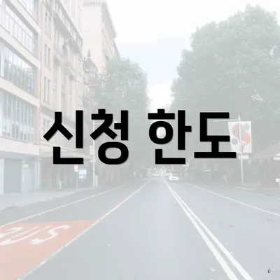 신청 한도