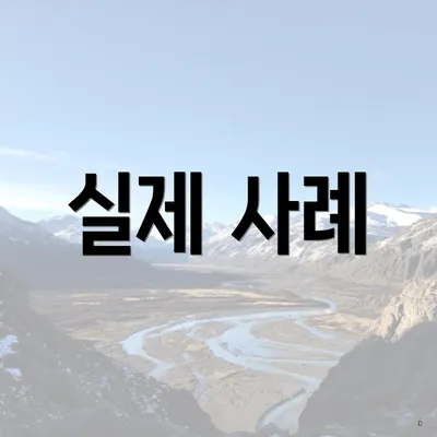 실제 사례