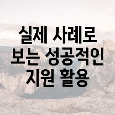 실제 사례로 보는 성공적인 지원 활용