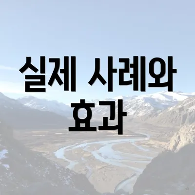 실제 사례와 효과