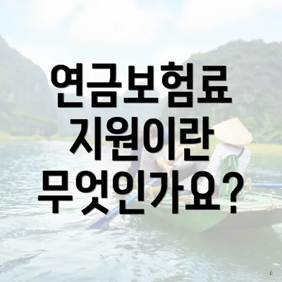 연금보험료 지원이란 무엇인가요?