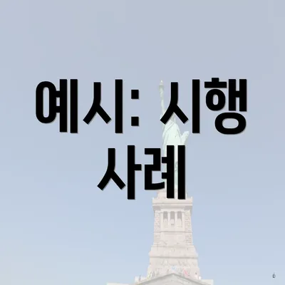 예시: 시행 사례
