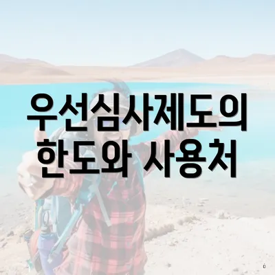 우선심사제도의 한도와 사용처