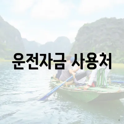 운전자금 사용처