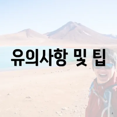 유의사항 및 팁