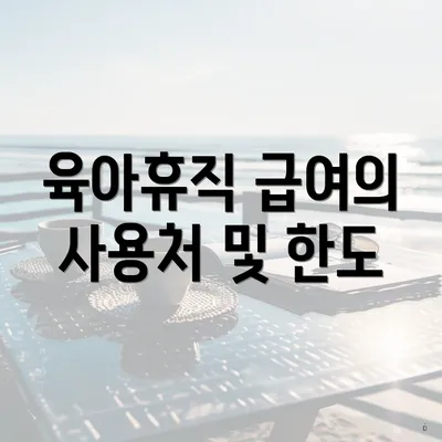 육아휴직 급여의 사용처 및 한도
