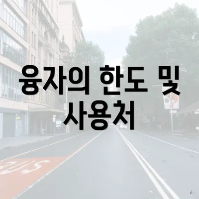 융자의 한도 및 사용처