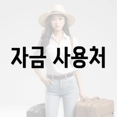 자금 사용처