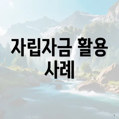 자립자금 활용 사례
