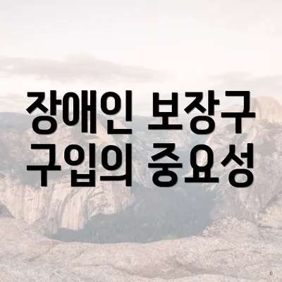 장애인 보장구 구입의 중요성