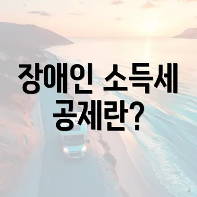장애인 소득세 공제란?