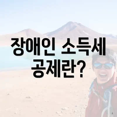 장애인 소득세 공제란?